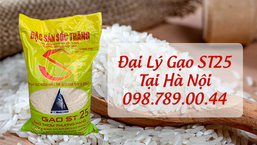 Đại lý gạo ST25 Sóc Trăng tại Hà Nội, Giao Hàng Miễn Phí