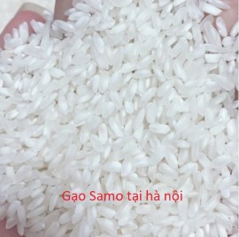 Khám Phá Gạo Sa Mơ: Lựa Chọn Hoàn Hảo Cho Bữa Cơm Ngon dành cho người ăn cơm khô tơi xốp từng hạt gạo